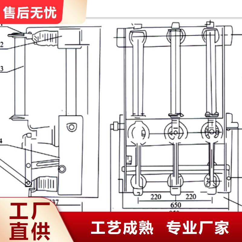 FZN21-12D/630-20高压负荷开关樊高