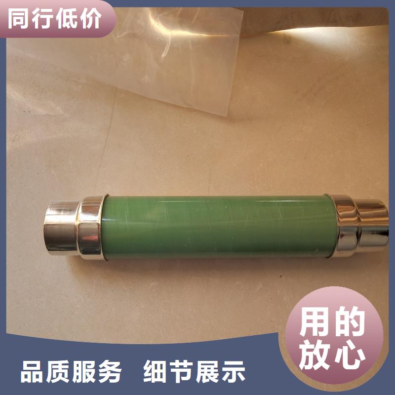 RN1-6/300双管限流熔断器