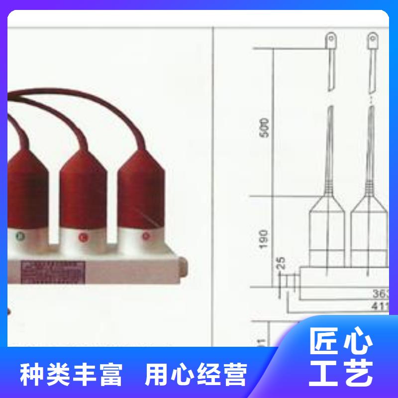 JCQ-10/1000在线监测仪