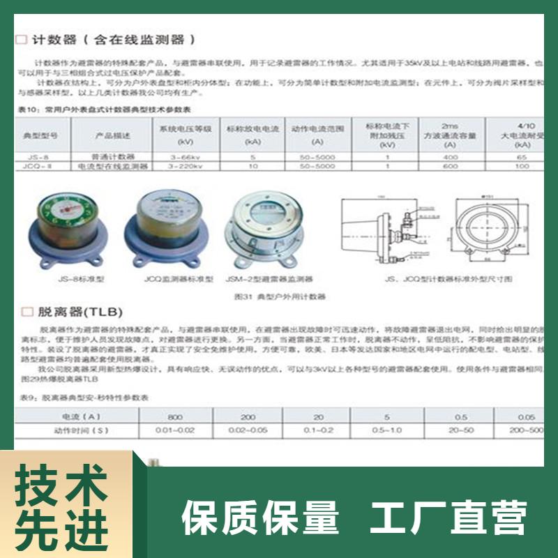 JS-85避雷器计数器