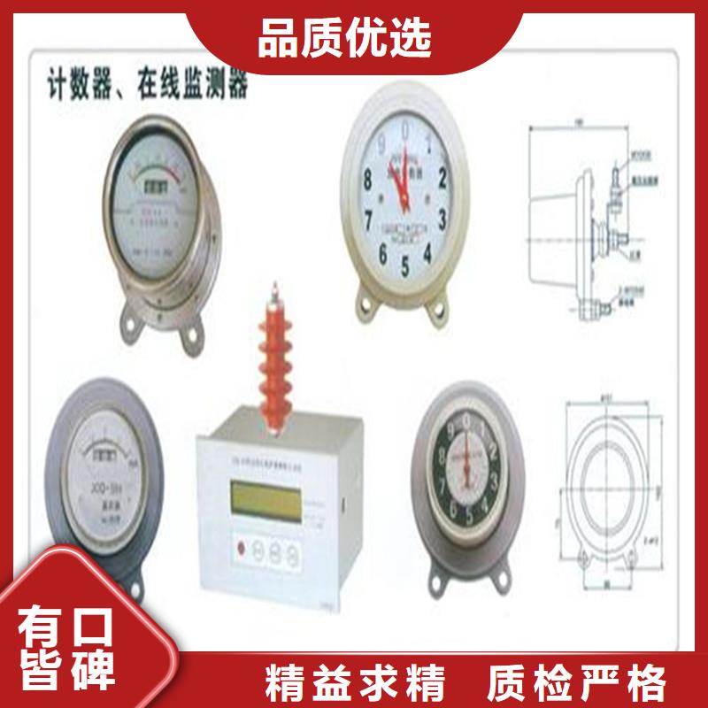 计数器【绝缘子】欢迎来电咨询