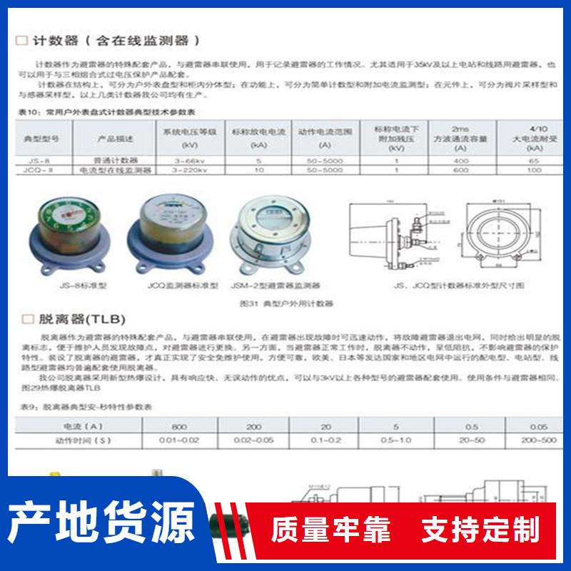 JS-8避雷器计数器