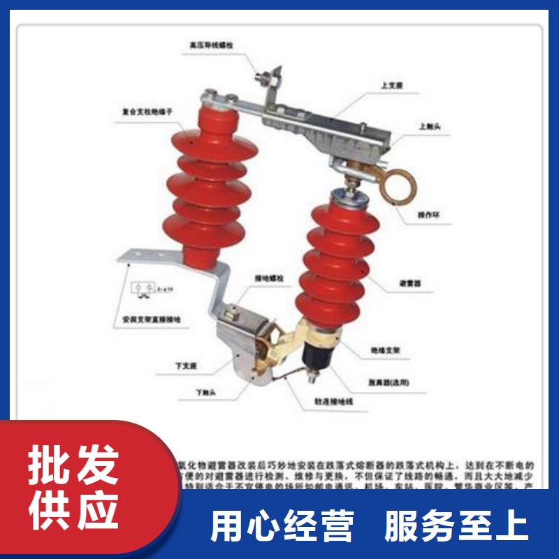 FS4-6阀式避雷器	樊高电气