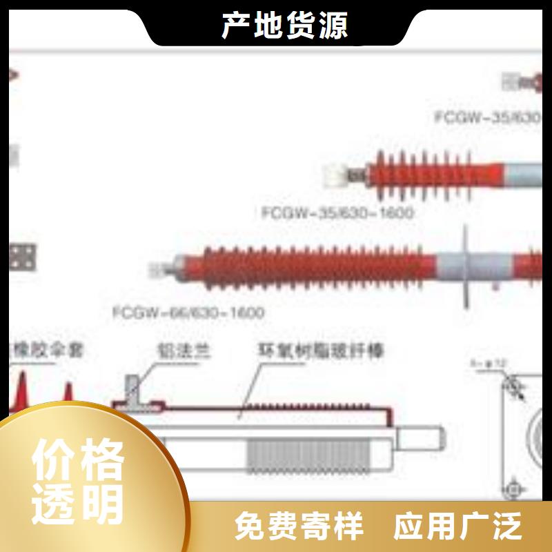 CWWC-20/3150A高压穿墙套管