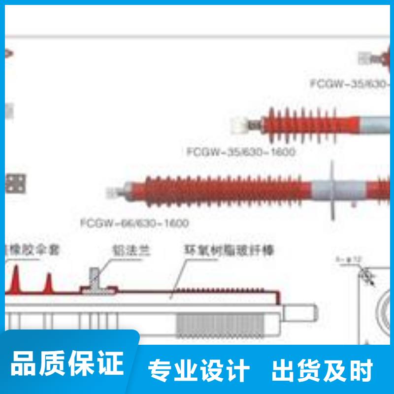 FCWW-20/1000硅胶穿墙套管樊高