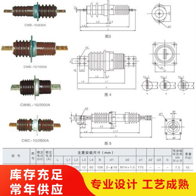 CWWL-35/630A-4陶瓷套管樊高