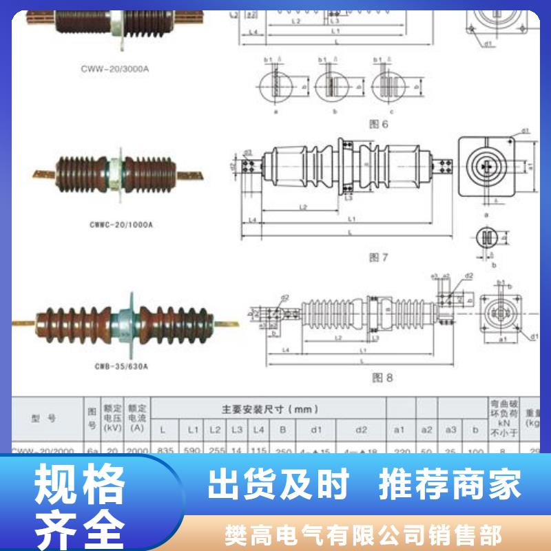 CWWB-20/1250A高压穿墙套管樊高