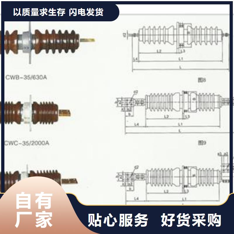 FCRG3-40.5/630A高压复合穿墙套管