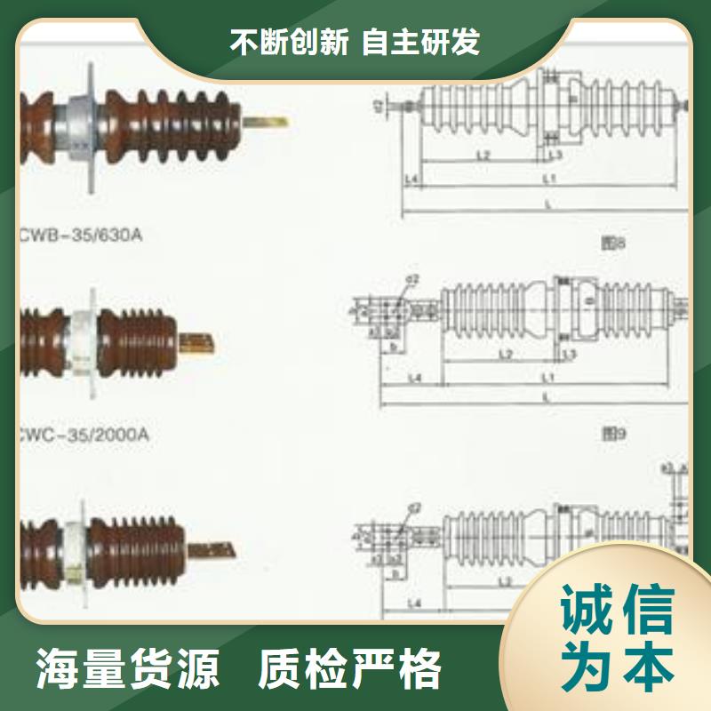 FCRG2-40.5/400A硅胶套管