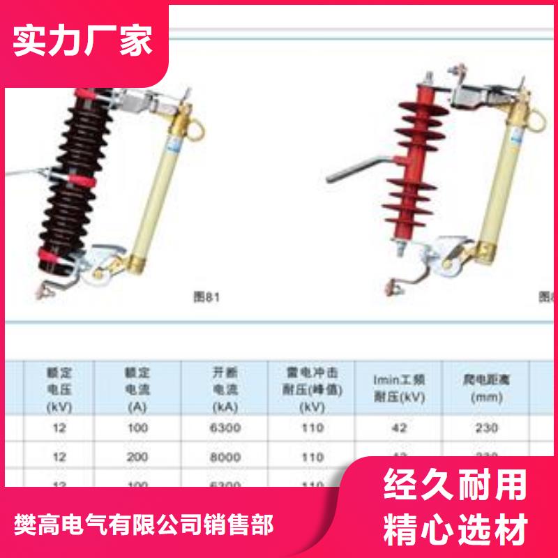 XRNP-12KV/0.2A高压保险管