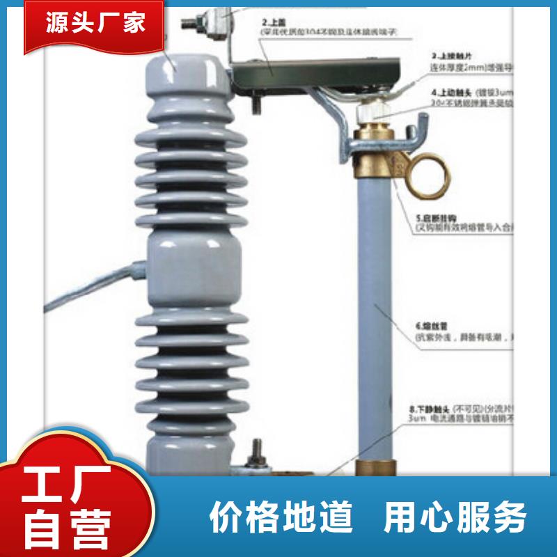 XRNP1-12KV/3.15A高压保险