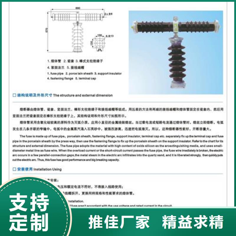 HPRWG1-10F/100A跌落保险