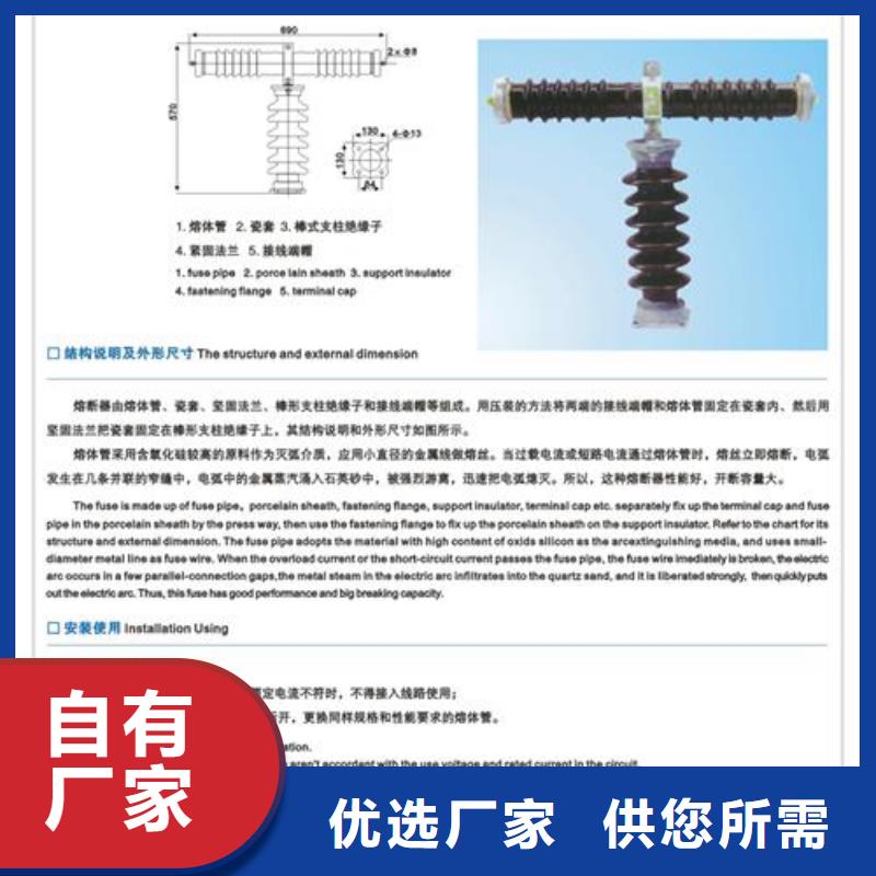 BR1-10/2A限流熔断器性能