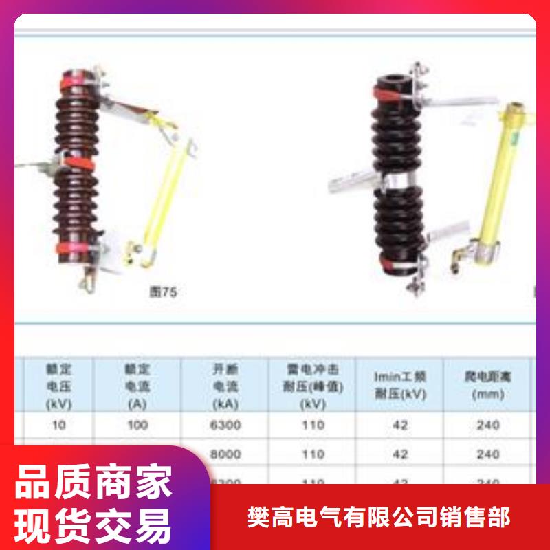 万宁市XS-10/200A跌落式熔断器质量