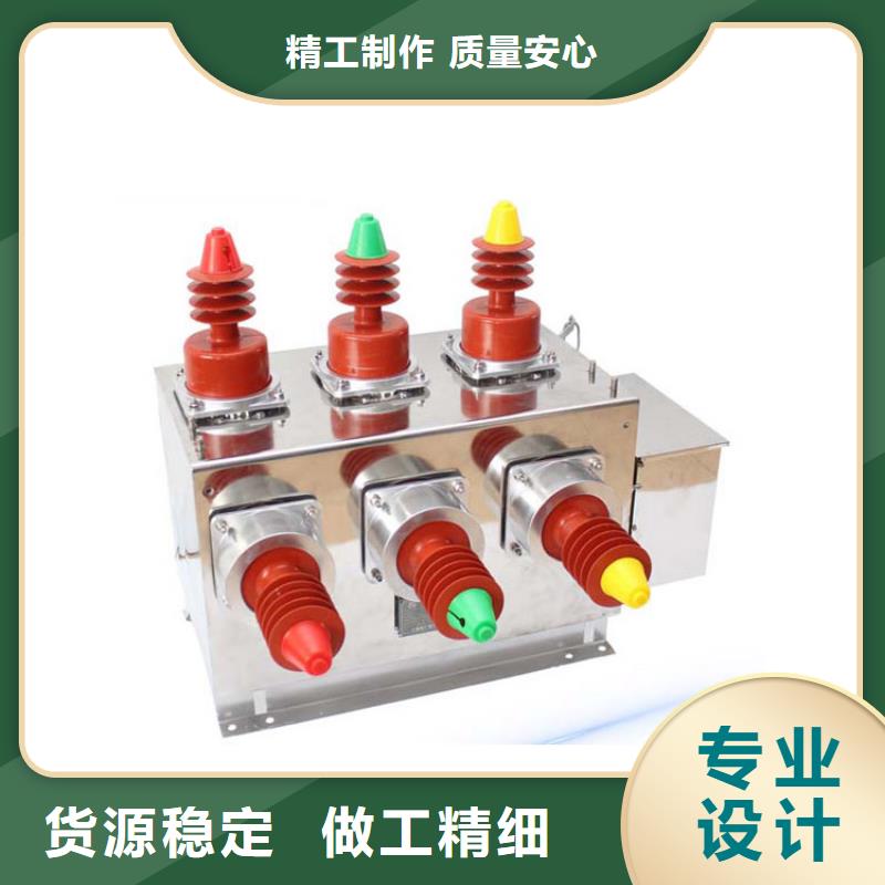 ZN12-12/630真空断路器