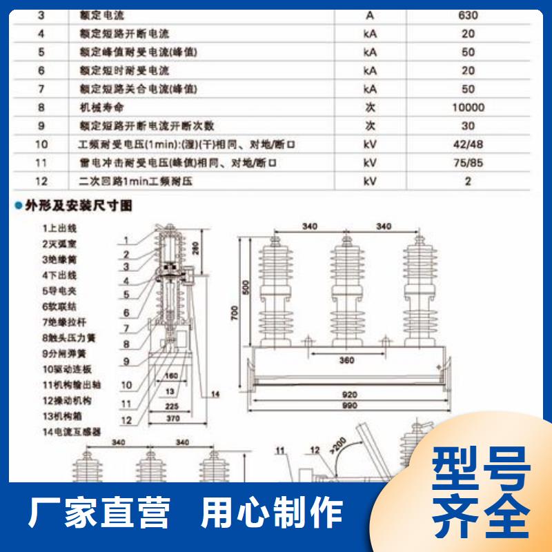 【真空断路器源头厂源头货】