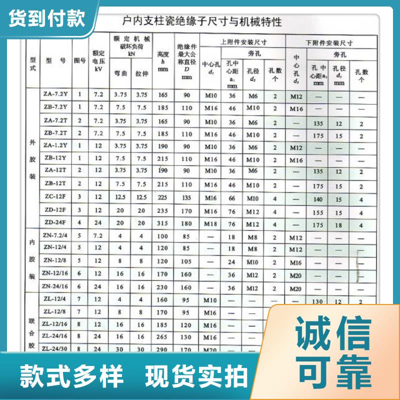 ZJ3-24Q/110*230环氧树脂绝缘子