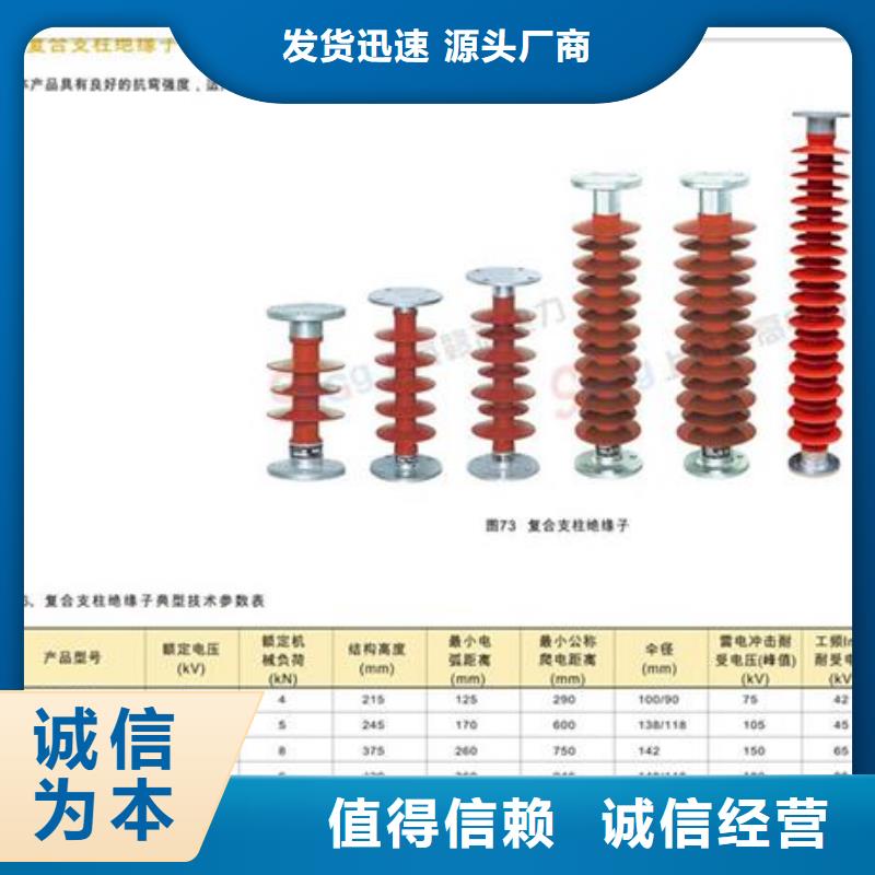 【绝缘子_穿墙套管厂定制零售批发】