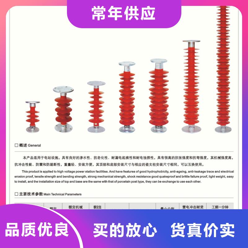 FXBW3-220/160硅胶绝缘子