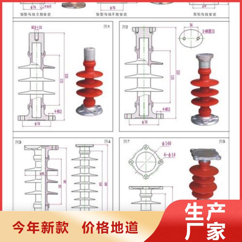 ZS-110/850陶瓷支柱绝缘子