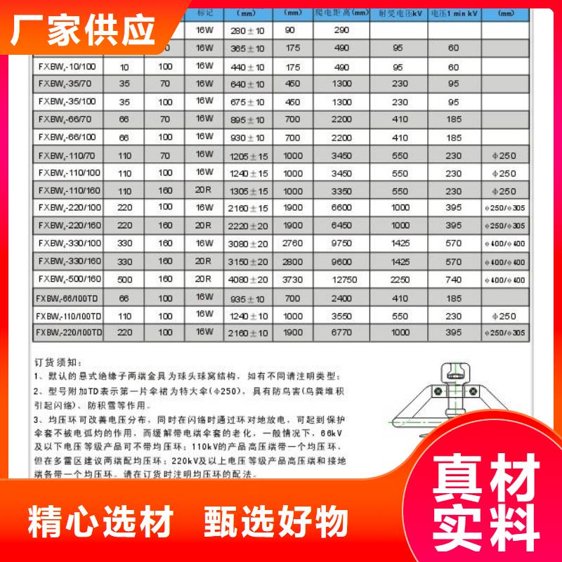 ZJ-24Q/110*190高压环氧树脂绝缘子