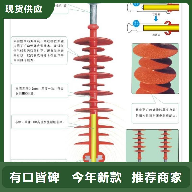 FZS-24/8-1高压硅胶绝缘子