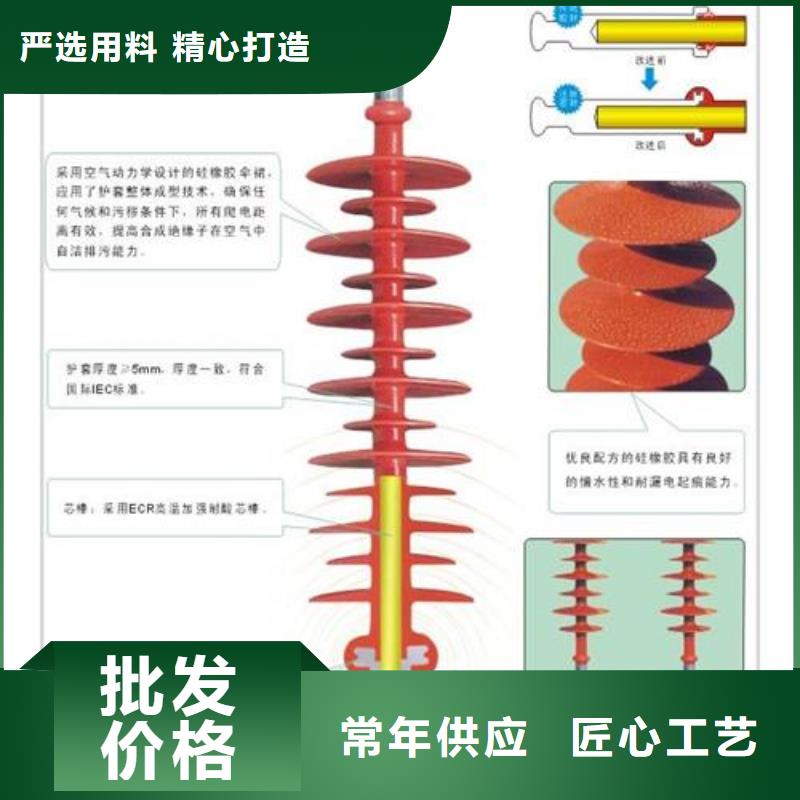 ZB-10Y高压绝缘子樊高电气