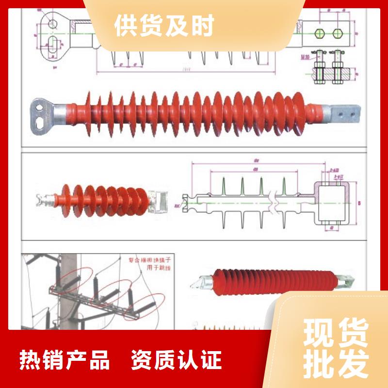 FZS-110/10复合绝缘子