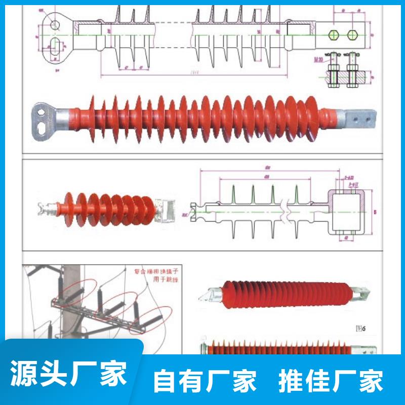 FZSW-110/10复合支柱绝缘子