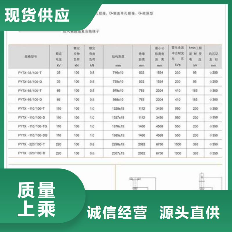 ZS-72.5/800支柱绝缘子