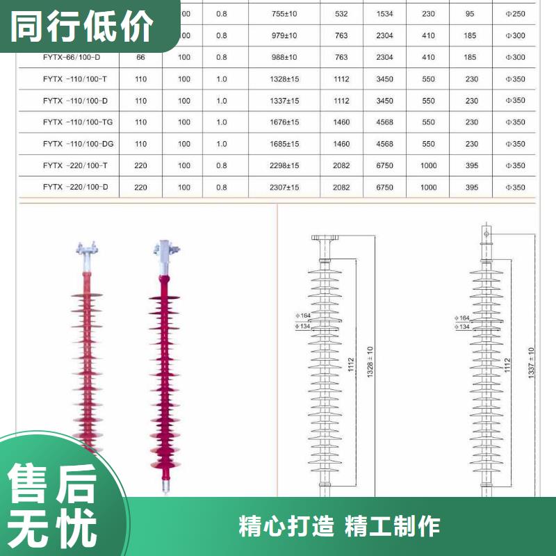 ZN-10/800绝缘子樊高电气