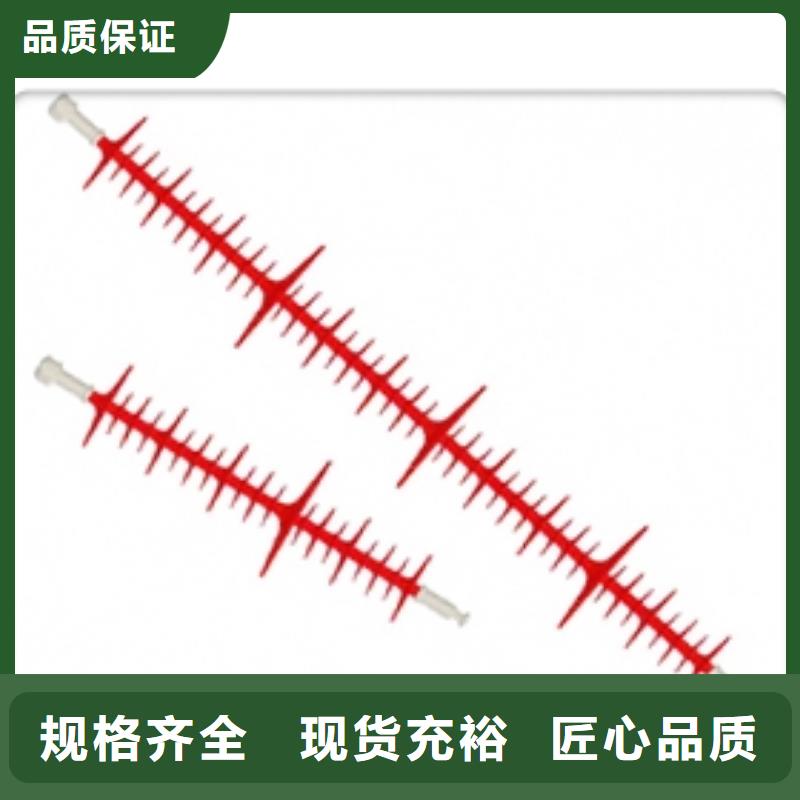 ZSW-35/8陶瓷支柱绝缘子