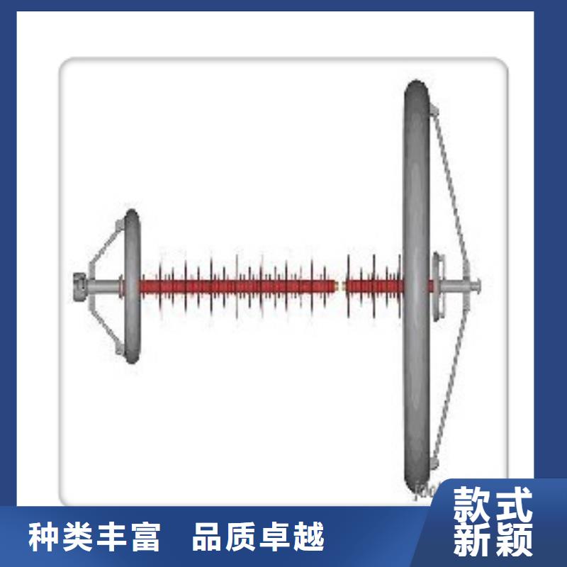 ZS-10/400支柱绝缘子