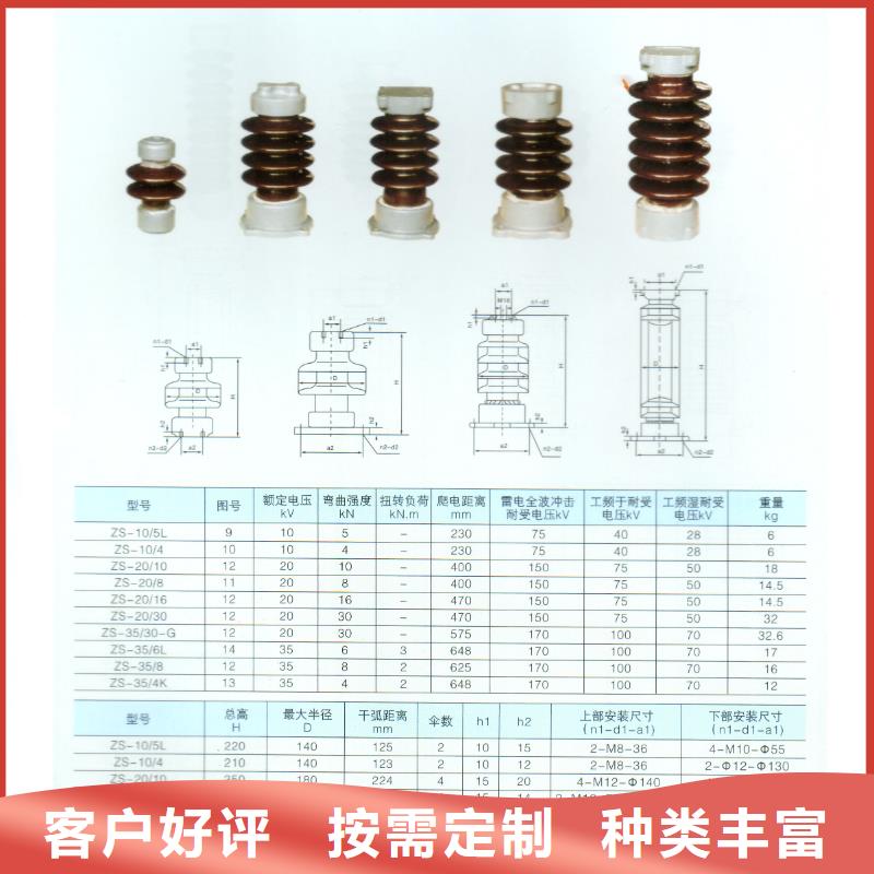 绝缘子,【氧化锌避雷器】免费获取报价