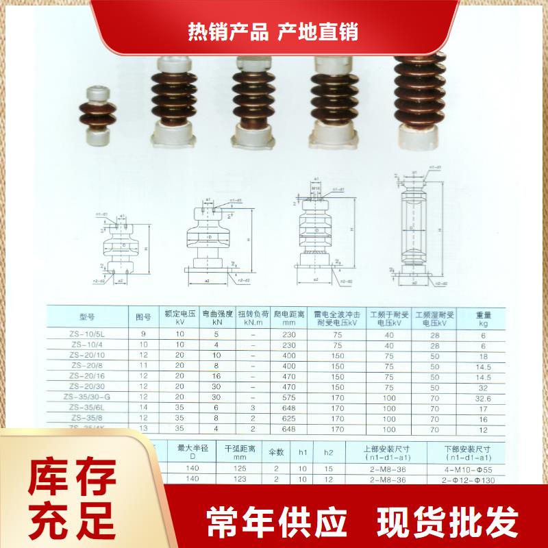 FZS-110/10复合绝缘子