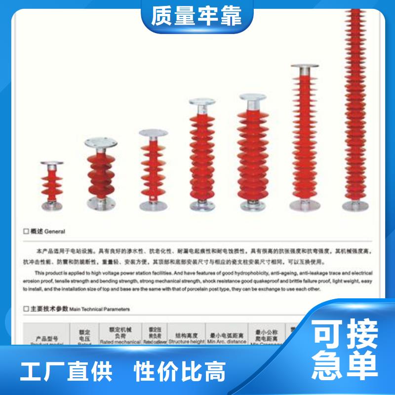 FS-10/2.5复合横担绝缘子