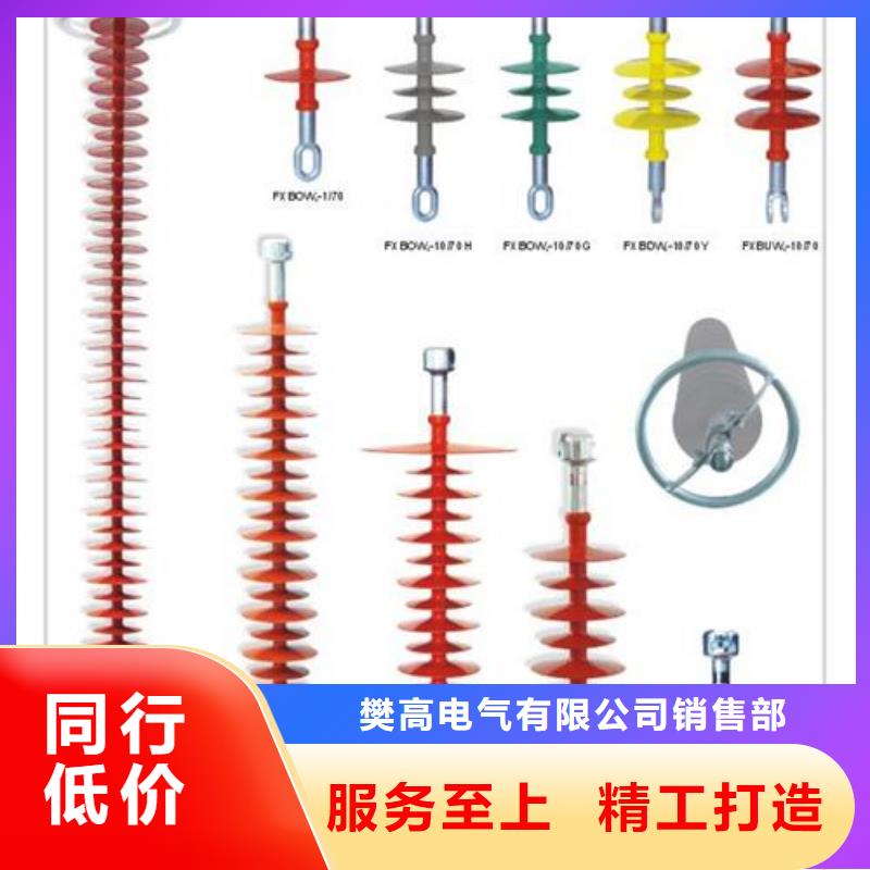 FZSW-110/8复合高压绝缘子