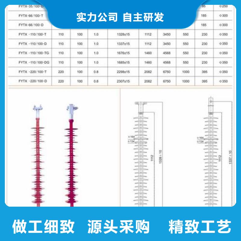 ZS-110/850陶瓷支柱绝缘子