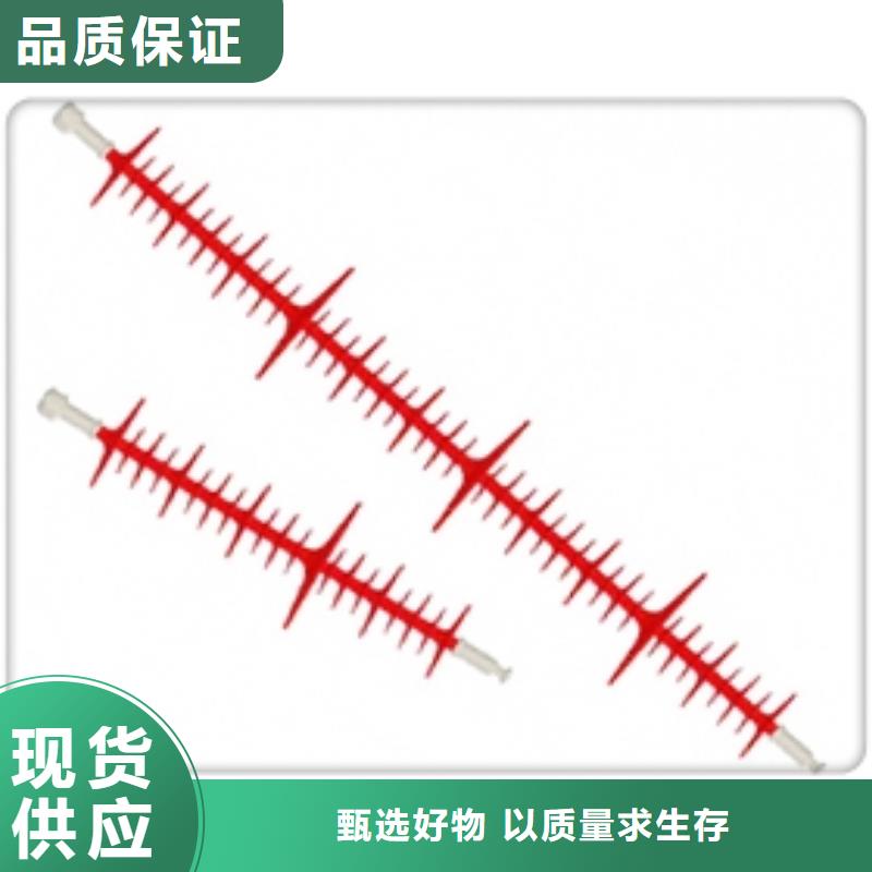 FXBW4-500/300硅胶绝缘子