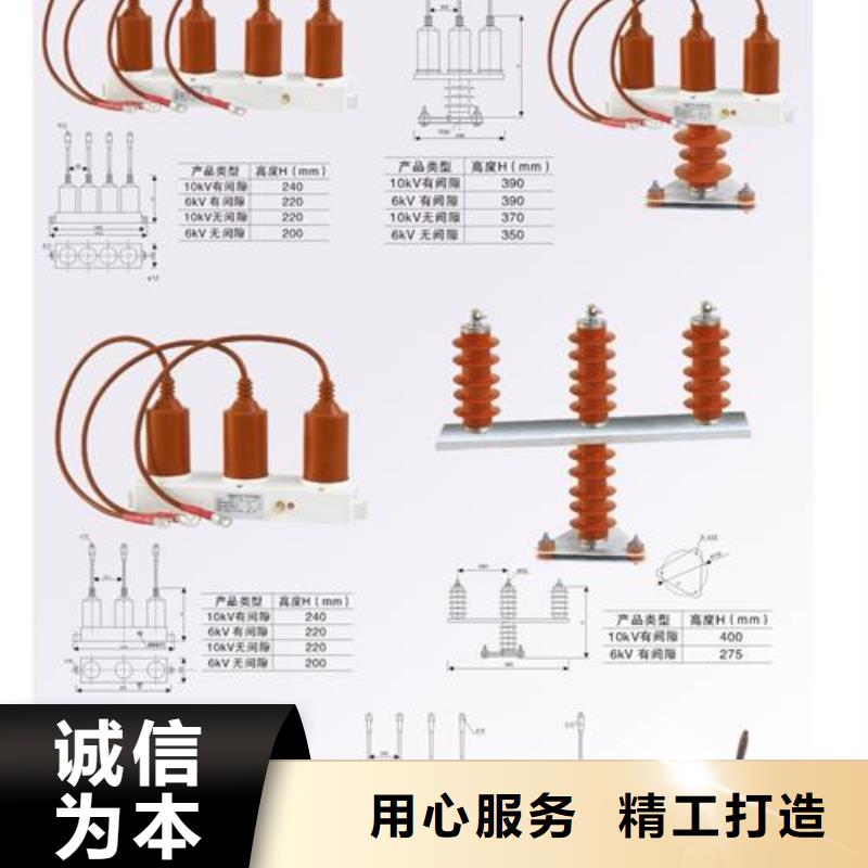 过电压保护器【绝缘子】源厂直接供货