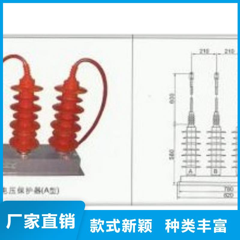 TBP-C-12.7F/131串联间隙过电压保护器