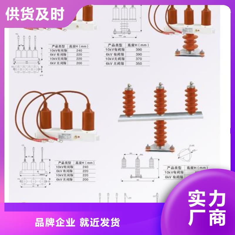 TBP-B-12.7F/85三相组合式过电压保护器樊高电气