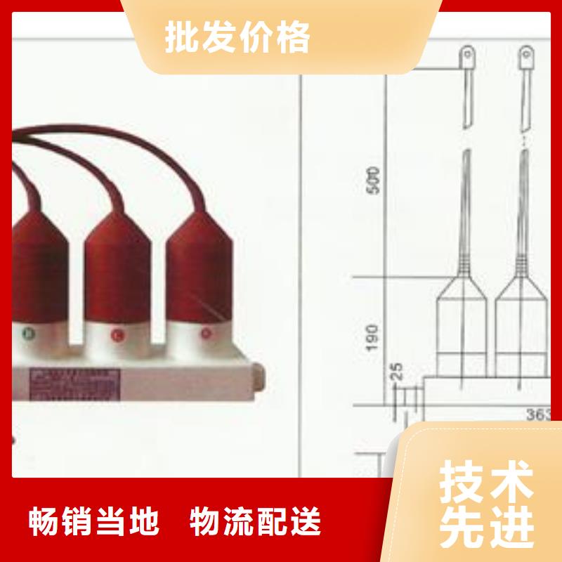 过电压保护器高低压电器团队实力见证