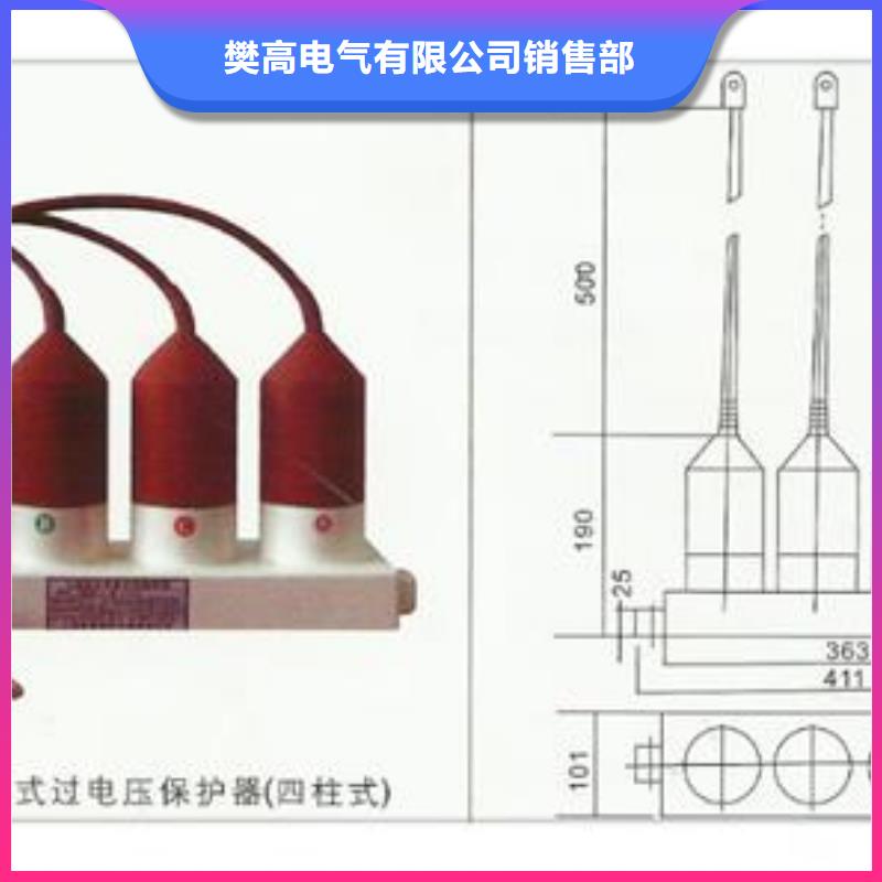 过电压保护器电缆附件经验丰富品质可靠