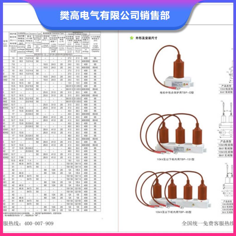 TBP-B-12.7F/131N-J三相组合式过电压保护器樊高电气