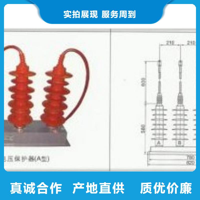 TBP-A-42F/310组合式避雷器