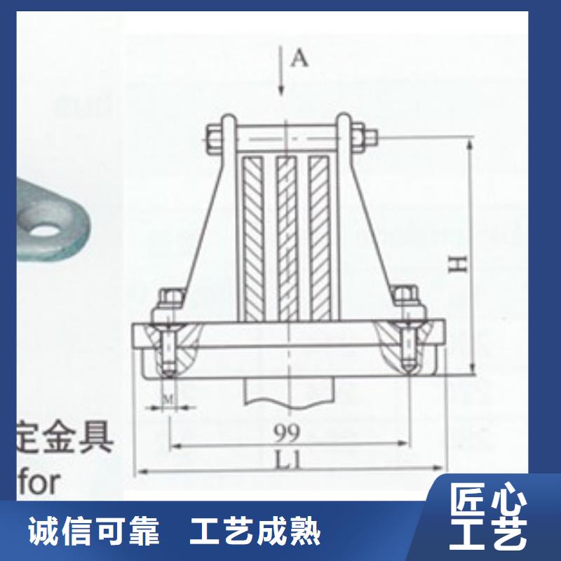 TMY-12*100母线樊高