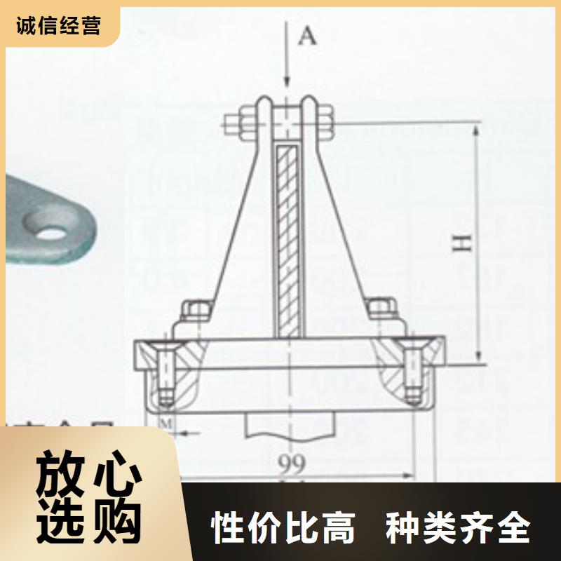 TMY-60*5铜排樊高