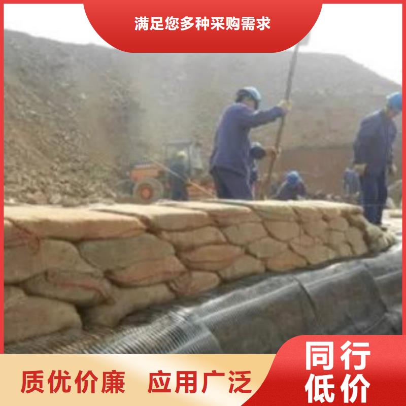 单向塑料格栅,钢塑土工格栅厂家销售