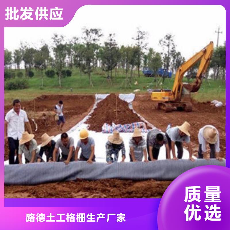 【膨润土防水毯玻纤土工格栅可定制有保障】